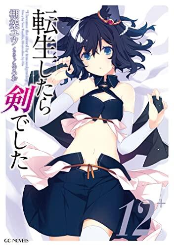 Reincarnated as a Sword (Light Novel) (Volume 12)