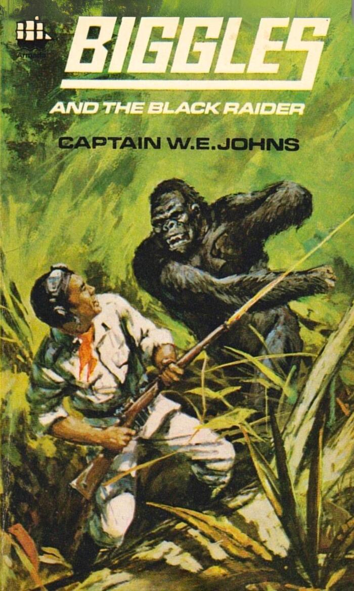 Biggles and the Black Raider