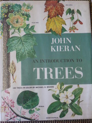 An Introduction to Trees