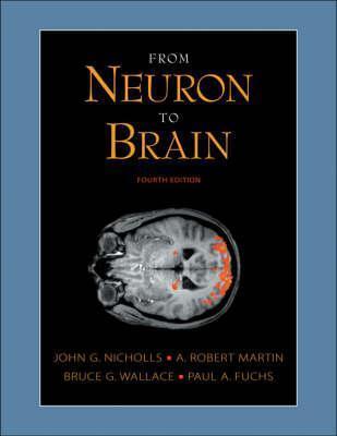 From Neuron to Brain: A Cellular and Molecular Approach to the Function of the Nervous System
