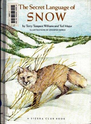 The Secret Language of Snow