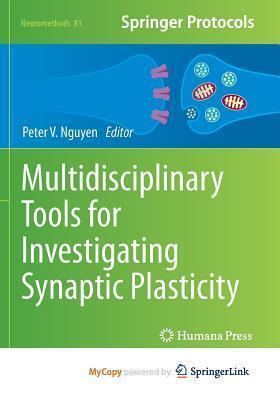 Multidisciplinary Tools for Investigating Synaptic Plasticity
