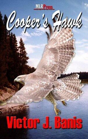 Cooper's Hawk