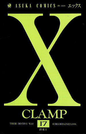 X 17