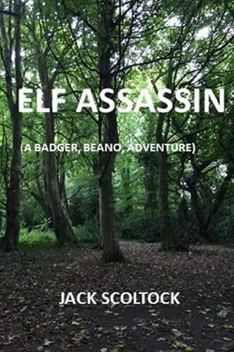 Elf Assassin