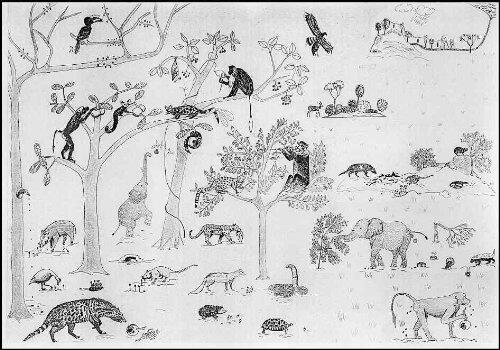 Seed dispersal and forest regeneration in a tropical lowland biocoenosis