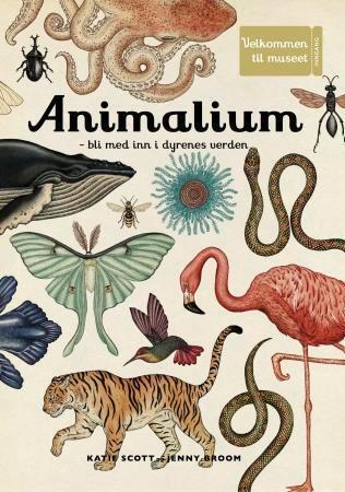Animalium - bli med inn i dyrenes verden