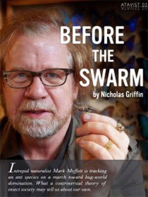 Before the Swarm