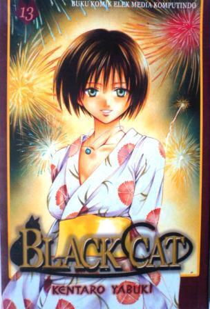 Black Cat Vol. 13