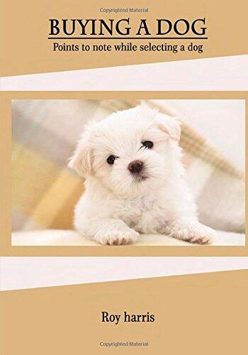 Buying a Dog: Points to Note While Selecting a Dog