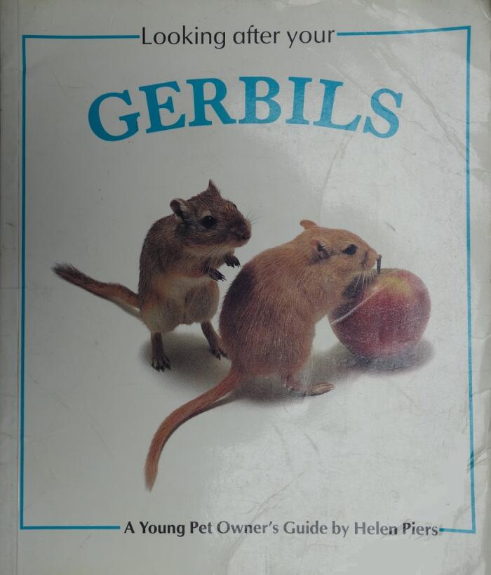 Looking After Your Gerbils