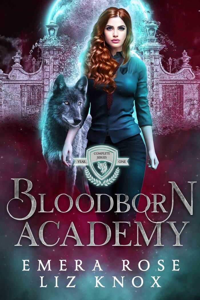 Bloodborn Academy: Year One