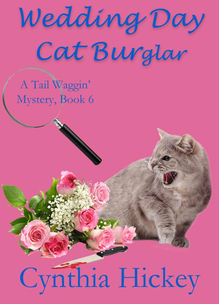 Wedding Day Cat Burglar