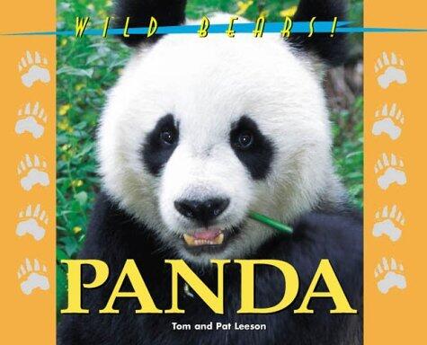Panda Bear