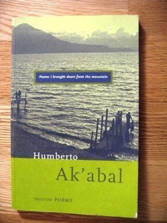 Poems I Brought Down from the Mountain