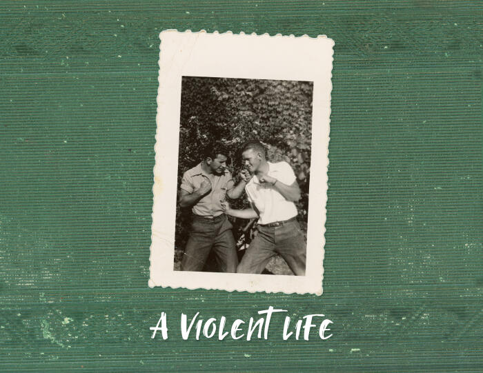 A Violent Life