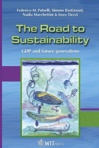The Road to Sustainability: GDP and Future Generations