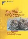 So fühlt sich meine Katze wohl. Haltung, Pflege, Fütterung, Beschäftigung.