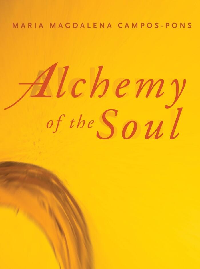 Alchemy of the Soul: Maria Magdalena Campos-Pons
