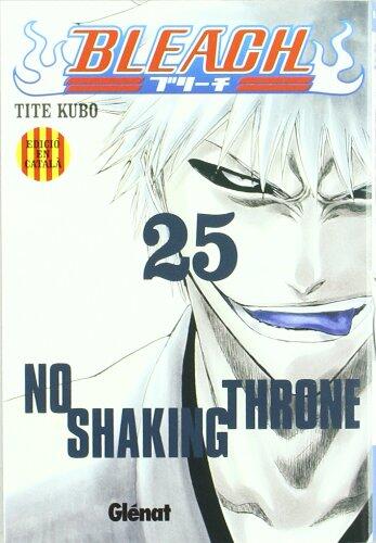 Bleach 25