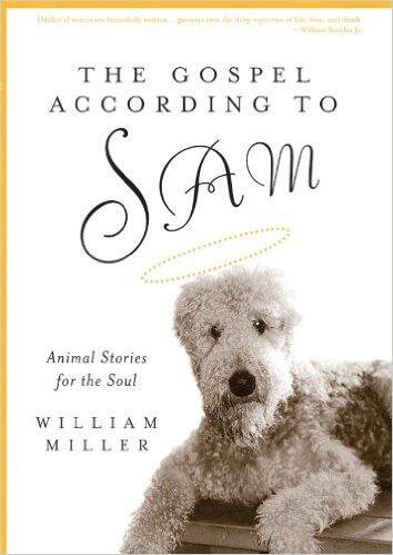 The Gospel According to Sam: Animal Stories for the Soul