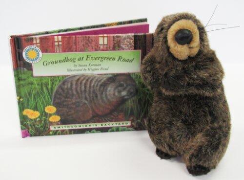 Groundhog at Evergreen Road with Toy (Smithsonian's Backyard