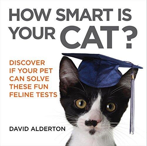 How Smart Is Your Cat?: Discover If Your Pet Can Solve These Fun Feline Tests