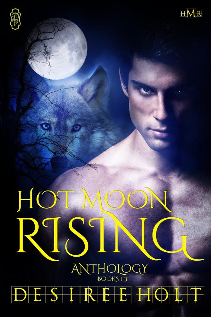 Hot Moon Rising Anthology Books 1-3