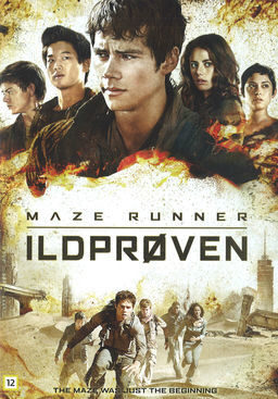 Ildprøven