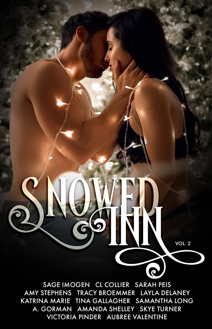 Snowed Inn (Volume 2)