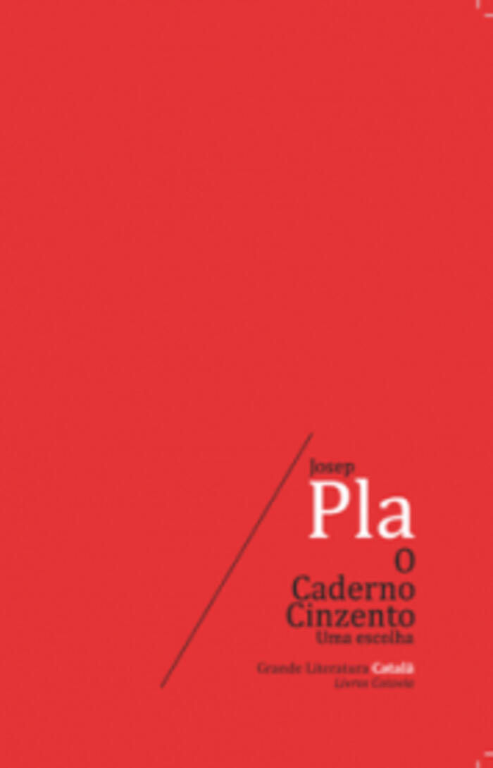 O Caderno Cinzento