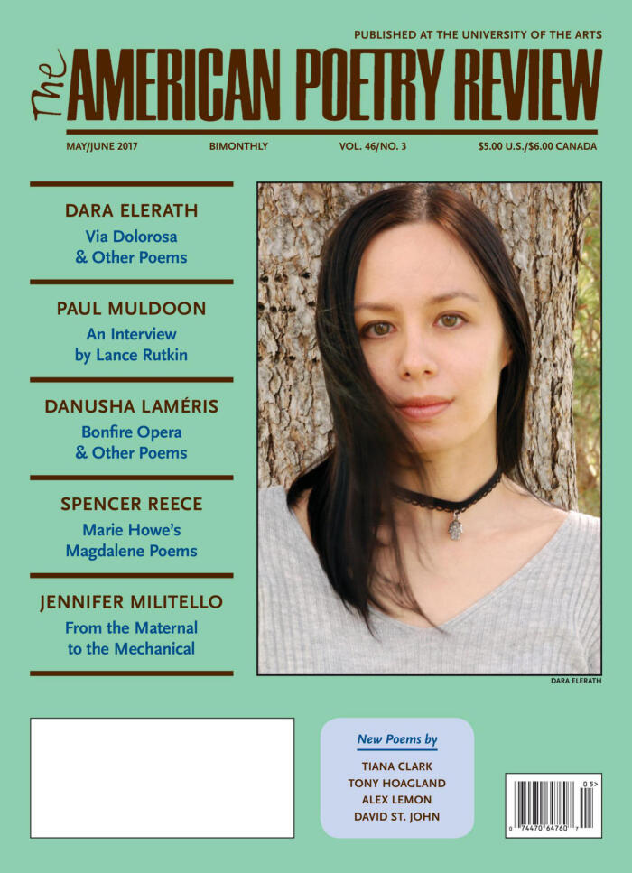The American Poetry Review (Vol. 46 No. 3)
