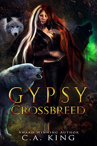 Gypsy Crossbreed