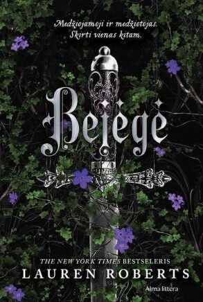 Bejėgė