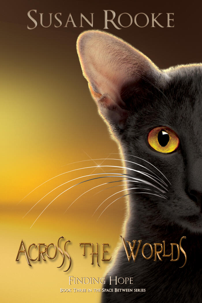 Across the Worlds: Finding Hope
