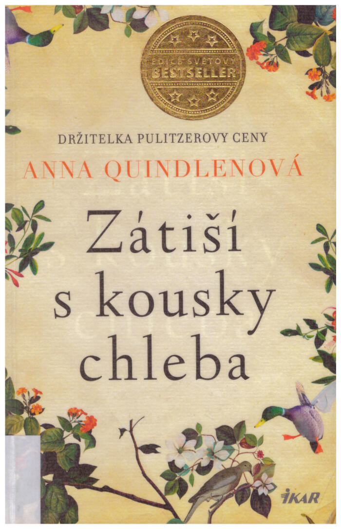Zátiší s kousky chleba