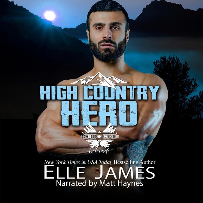 High Country Hero: Brotherhood Protectors Colorado, Book 12
