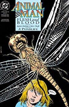 Animal Man (1988-1995) #53