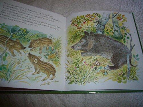 Dodinet, le petit cochon (Premiers livres)