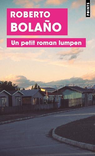 Un petit roman lumpen