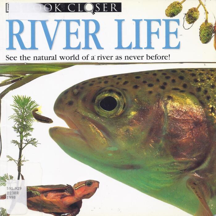 Look Closer: River Life