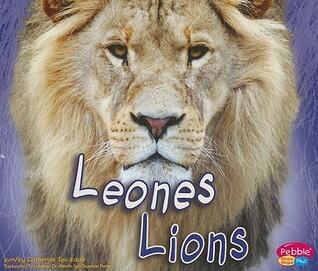 Leones / Lions