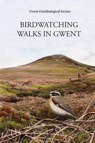 Birdwatching Walks in Gwent