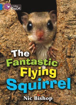 The Fantastic Flying Squirrel