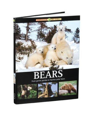 Bears, From Gentle Pandas to Fearless Polar Bears