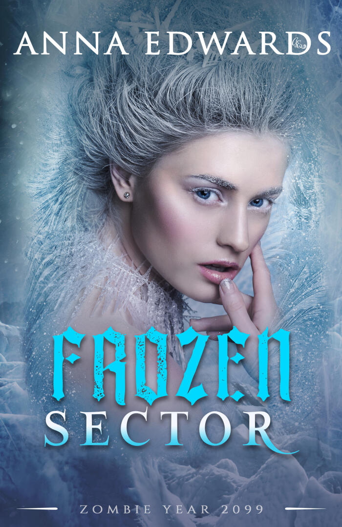 Frozen Sector