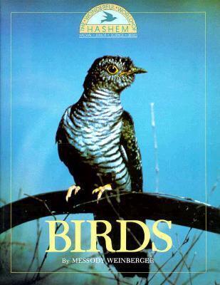 Wonderful World of Hashem Birds