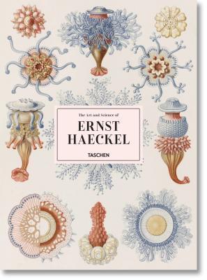 The Art & Science of Ernst Haeckel
