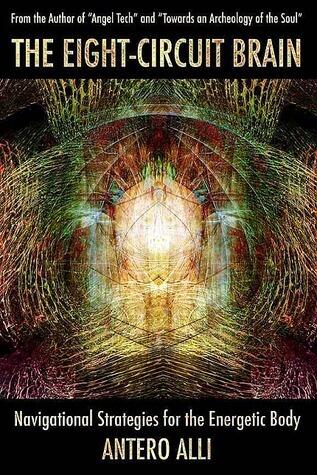 The Eight Circuit Brain: Navigational Strategies For The Energetic Body