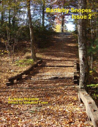 Bartleby Snopes Issue 2